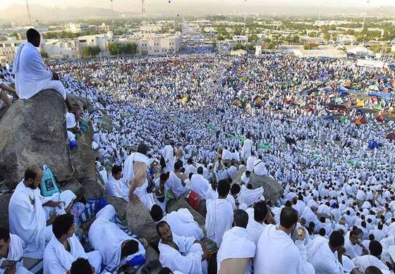 بالفيديو والصور.. الحجاج يتوافدون على عرفات لأداء ركن الحج الأعظم صورة رقم 8 بالفيديو والصور.. الحجاج يتوافدون على عرفات لأداء ركن الحج الأعظم صورة رقم 8