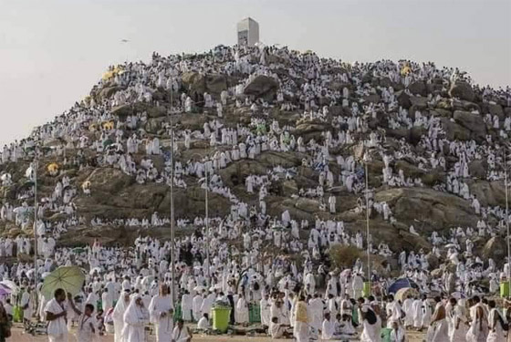 بالفيديو والصور.. الحجاج يتوافدون على عرفات لأداء ركن الحج الأعظم صورة رقم 10 بالفيديو والصور.. الحجاج يتوافدون على عرفات لأداء ركن الحج الأعظم صورة رقم 10
