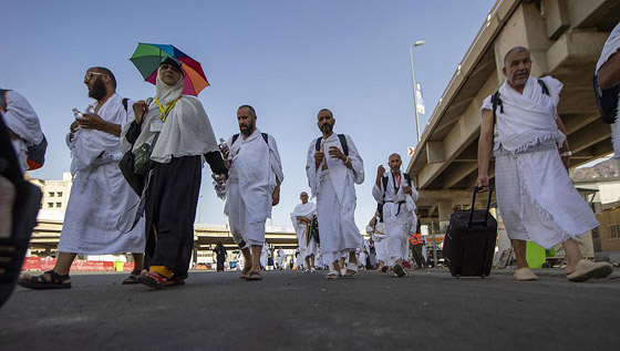 بالفيديو والصور.. الحجاج يتوافدون على عرفات لأداء ركن الحج الأعظم صورة رقم 12 بالفيديو والصور.. الحجاج يتوافدون على عرفات لأداء ركن الحج الأعظم صورة رقم 12