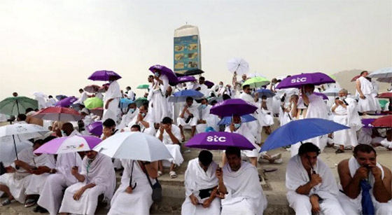 بالفيديو والصور.. الحجاج يتوافدون على عرفات لأداء ركن الحج الأعظم صورة رقم 2 بالفيديو والصور.. الحجاج يتوافدون على عرفات لأداء ركن الحج الأعظم صورة رقم 2