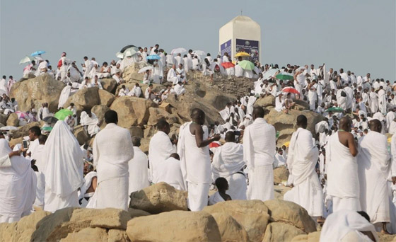 بالفيديو والصور.. الحجاج يتوافدون على عرفات لأداء ركن الحج الأعظم صورة رقم 5 بالفيديو والصور.. الحجاج يتوافدون على عرفات لأداء ركن الحج الأعظم صورة رقم 5