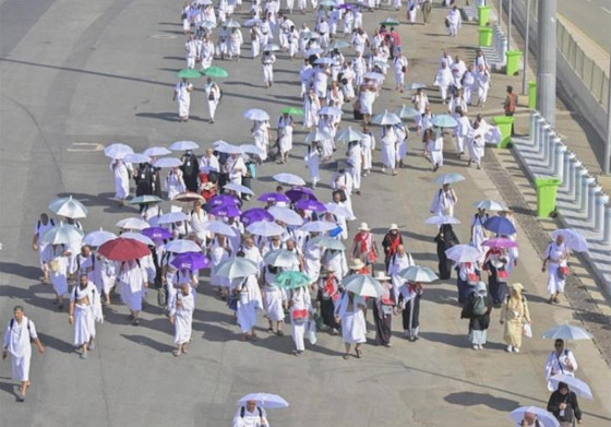 بالفيديو والصور.. الحجاج يتوافدون على عرفات لأداء ركن الحج الأعظم صورة رقم 6 بالفيديو والصور.. الحجاج يتوافدون على عرفات لأداء ركن الحج الأعظم صورة رقم 6
