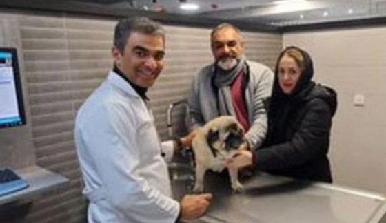 لماذا قد يقودك اقتناء حيوان أليف في إيران إلى السجن؟ صورة رقم 1