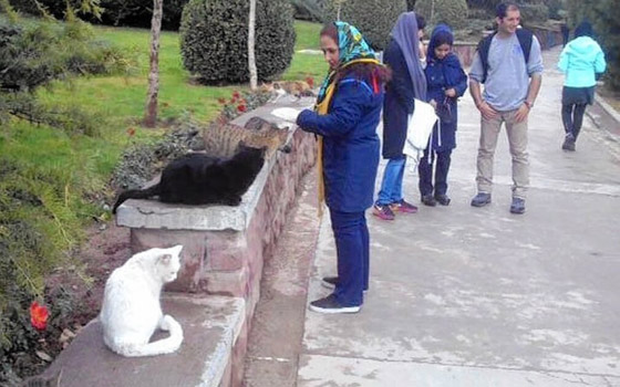 لماذا قد يقودك اقتناء حيوان أليف في إيران إلى السجن؟ صورة رقم 3