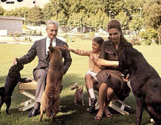 لماذا قد يقودك اقتناء حيوان أليف في إيران إلى السجن؟ صورة رقم 2