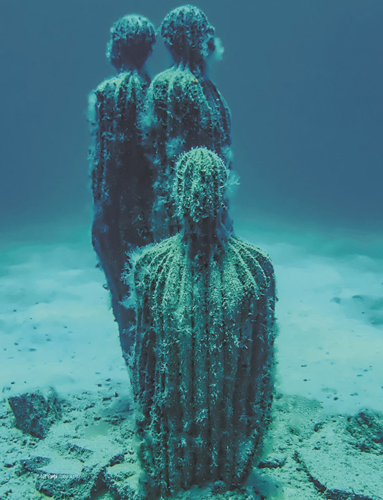 متحف موسان غابة مبهرة تحت الماء صورة رقم 6