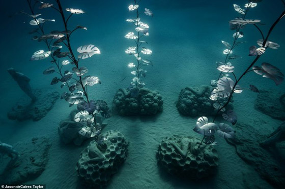 متحف موسان غابة مبهرة تحت الماء صورة رقم 4