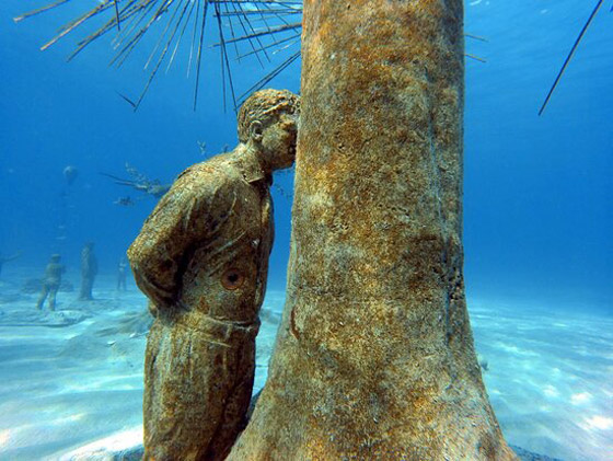 متحف موسان غابة مبهرة تحت الماء صورة رقم 5