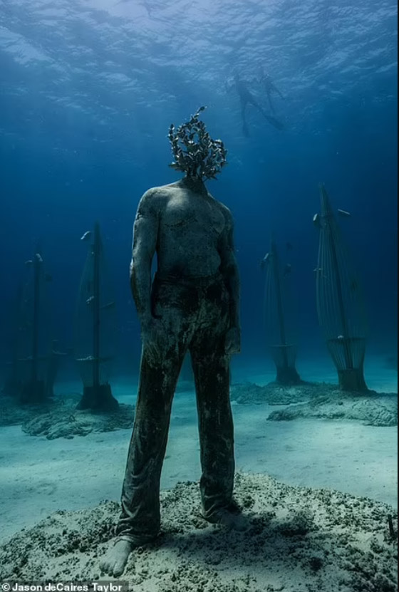 متحف موسان غابة مبهرة تحت الماء صورة رقم 8