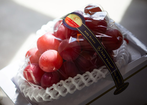 فيديو وصور: بيع عنقود عنب ياباني بسعر خيالي! صورة رقم 2 فيديو وصور: بيع عنقود عنب ياباني بسعر خيالي! صورة رقم 2