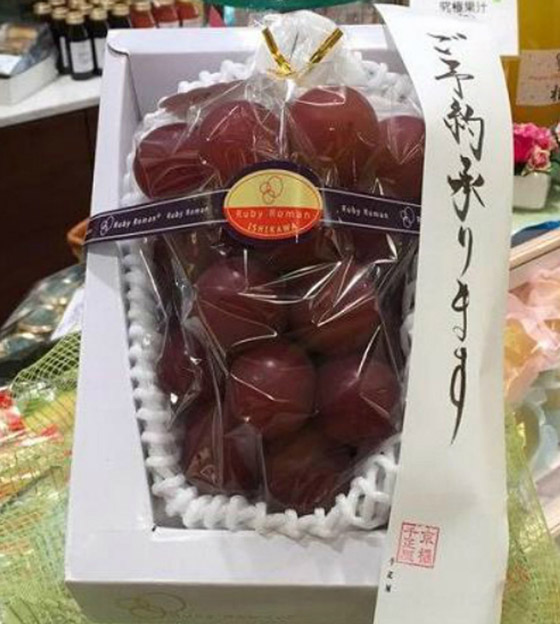 فيديو وصور: بيع عنقود عنب ياباني بسعر خيالي! صورة رقم 4 فيديو وصور: بيع عنقود عنب ياباني بسعر خيالي! صورة رقم 4