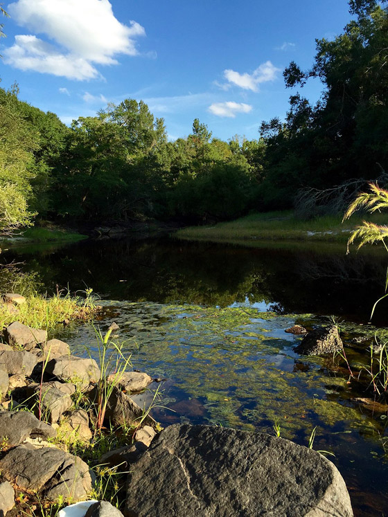 أراد إثبات نظافة المياه.. تسمم مسؤول هندي شرب من 