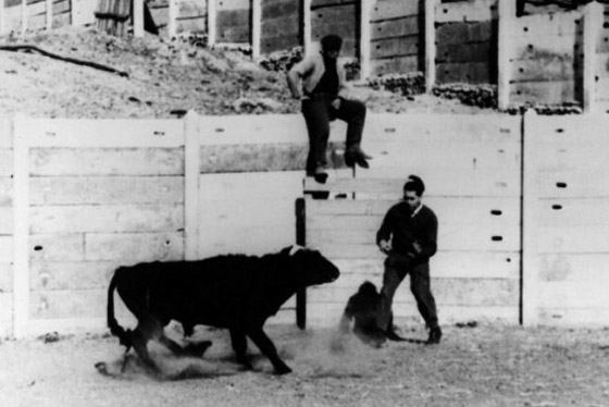 زرع شرائح إلكترونية بأدمغة الإنسان والحيوانات.. عالم إسباني أراد السيطرة على العقل البشري صورة رقم 3