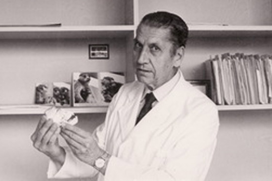 زرع شرائح إلكترونية بأدمغة الإنسان والحيوانات.. عالم إسباني أراد السيطرة على العقل البشري صورة رقم 5