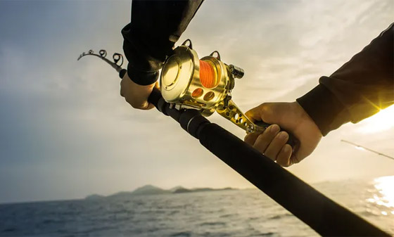 حادث غريب بفلوريدا.. سمكة تقفز من المياه وتطعن امرأة في فخذها! صورة رقم 3