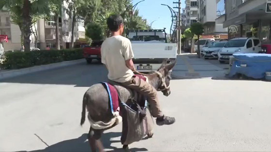 صور : أوروبا وجهته القادمة.. ياباني ينهي جولة واسعة في تركيا على ظهر الحمار صورة رقم 6