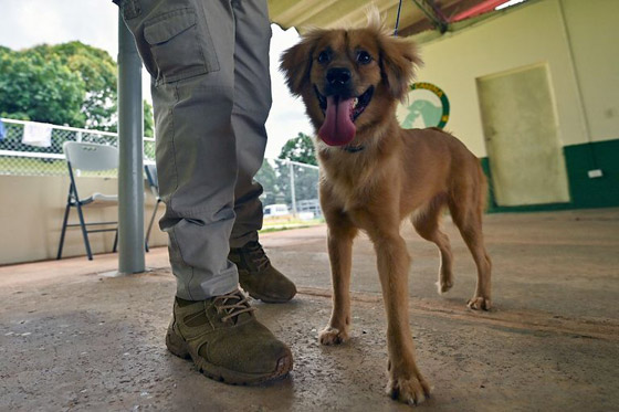 40 يوماً بلا أكل أو شرب.. صمود فريد من إسبانيا إلى بنما (صور) صورة رقم 3