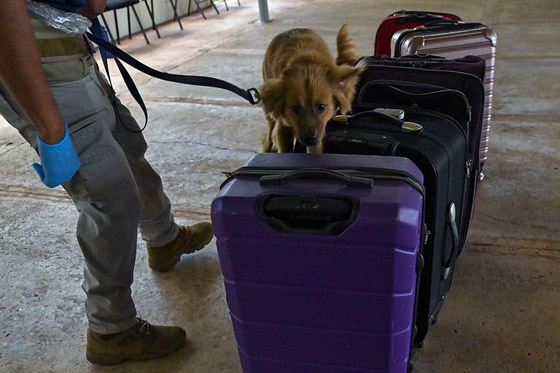 40 يوماً بلا أكل أو شرب.. صمود فريد من إسبانيا إلى بنما (صور) صورة رقم 4