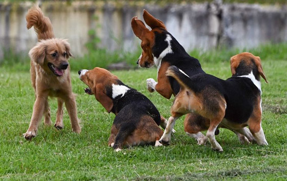 40 يوماً بلا أكل أو شرب.. صمود فريد من إسبانيا إلى بنما (صور) صورة رقم 6