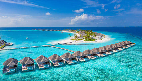 أفضل وظيفة بالعالم: منتجع بالمالديف يبحث عن بائع كتب 