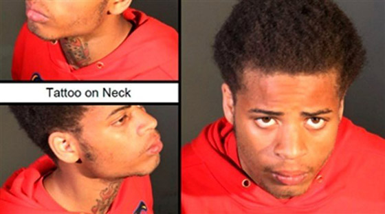 السجن 4 سنوات لأحد خاطفي كلاب ليدي غاغا صورة رقم 1