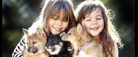 يعيش مع 2000 حيوان خطير في منزله ! صورة رقم 2