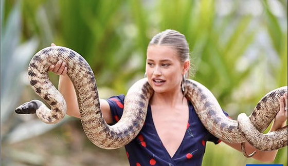 يعيش مع 2000 حيوان خطير في منزله ! صورة رقم 3