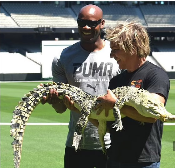 يعيش مع 2000 حيوان خطير في منزله ! صورة رقم 8