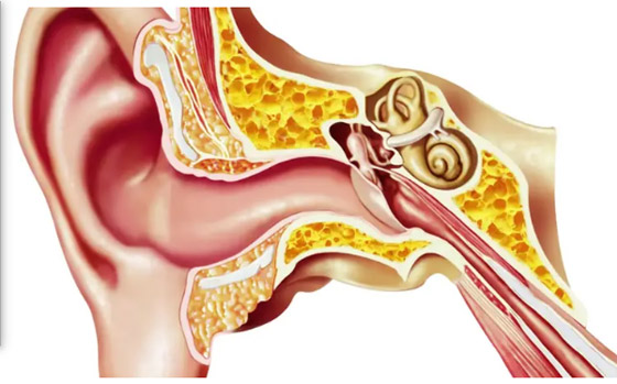 سماعات ذكية تساعد على تشخيص 3 حالات شائعة للأذن صورة رقم 1