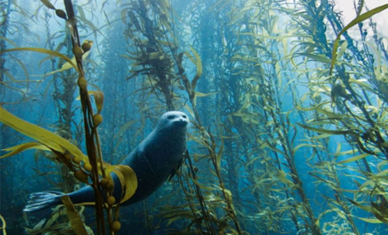  ! شاهد: أفضل صور للطبيعة لم يمسها الفوتوشوب صورة رقم 1