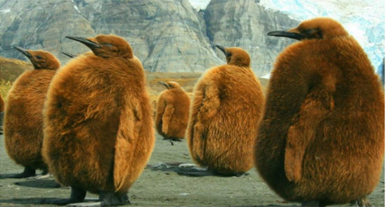  ! شاهد: أفضل صور للطبيعة لم يمسها الفوتوشوب صورة رقم 2