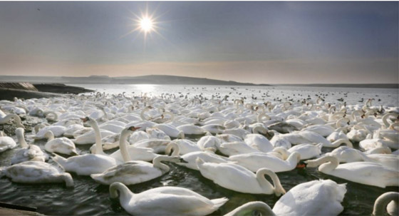  ! شاهد: أفضل صور للطبيعة لم يمسها الفوتوشوب صورة رقم 4