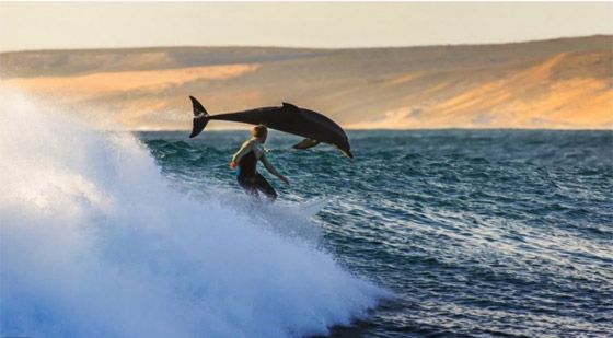  ! شاهد: أفضل صور للطبيعة لم يمسها الفوتوشوب صورة رقم 6
