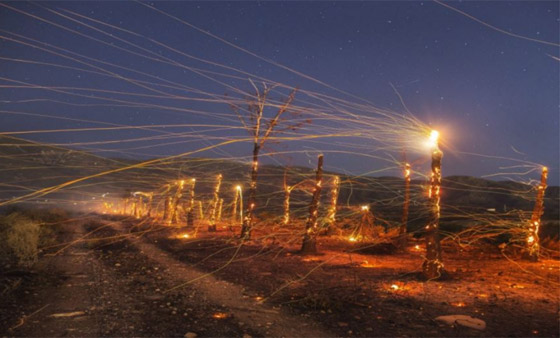  ! شاهد: أفضل صور للطبيعة لم يمسها الفوتوشوب صورة رقم 7