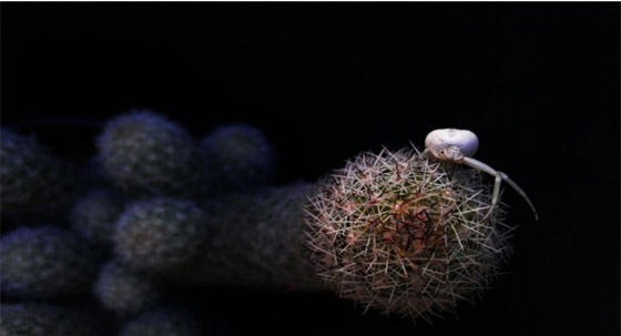  ! شاهد: أفضل صور للطبيعة لم يمسها الفوتوشوب صورة رقم 8