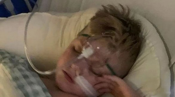 صور: إخراج وردة بلاستيكية من حنجرة طفل بعد 5 سنوات من المعاناة صورة رقم 1