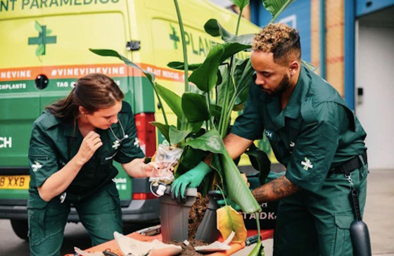 شركة تطلق خدمة الإسعاف المنزلي للنباتات المريضة صورة رقم 3