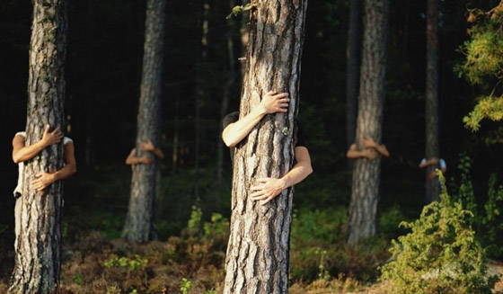 بطولة العالم لعناق الأشجار.. للعشق فنون وأحوال صورة رقم 4