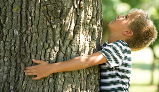 بطولة العالم لعناق الأشجار.. للعشق فنون وأحوال صورة رقم 6