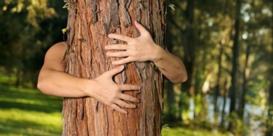 بطولة العالم لعناق الأشجار.. للعشق فنون وأحوال صورة رقم 7