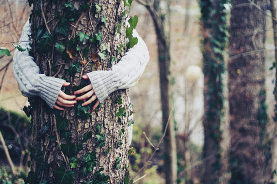 بطولة العالم لعناق الأشجار.. للعشق فنون وأحوال صورة رقم 8