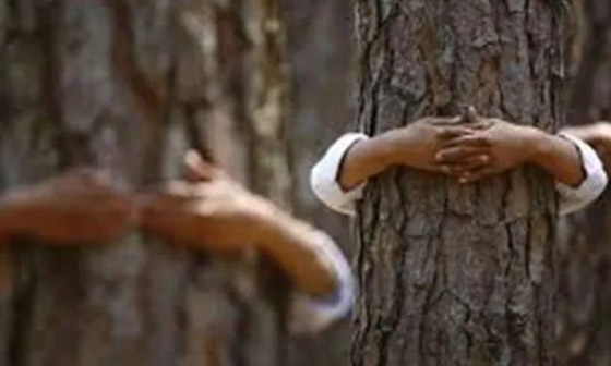 بطولة العالم لعناق الأشجار.. للعشق فنون وأحوال صورة رقم 9