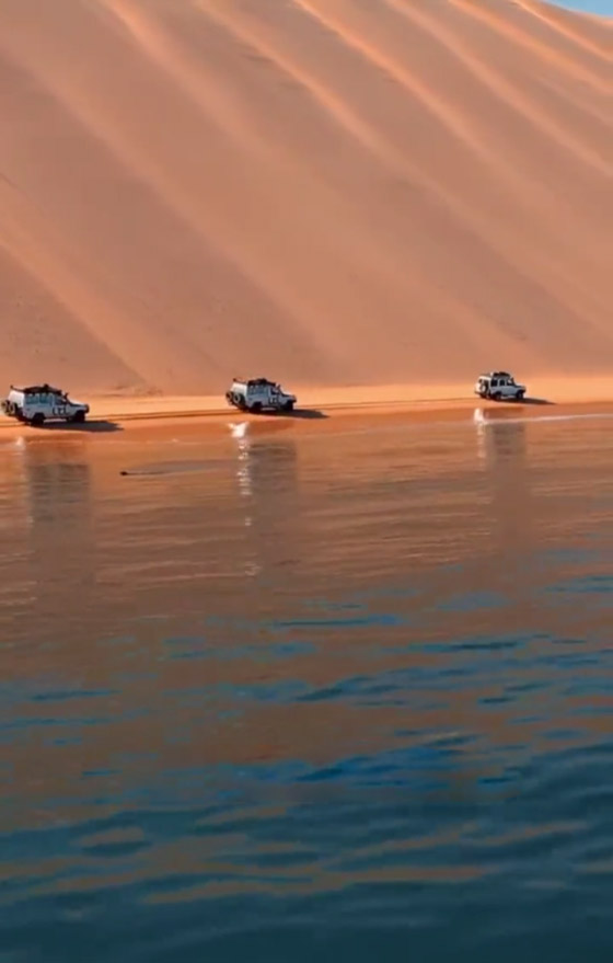 تفاعل كبير مع صورة مذهلة تُظهر الكثبان الرملية الهائلة بجوار المحيط صورة رقم 5
