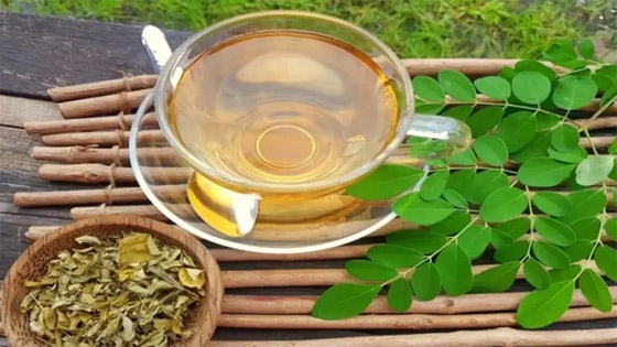 صرعة الأغذية الخارقة.. 10 فوائد تدهشك تجعلك تدمن نبتة المورينغا صورة رقم 4