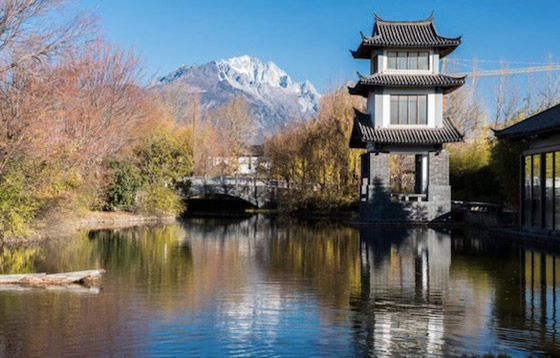 قتلته صاعقة... يوم زواجه صورة رقم 3