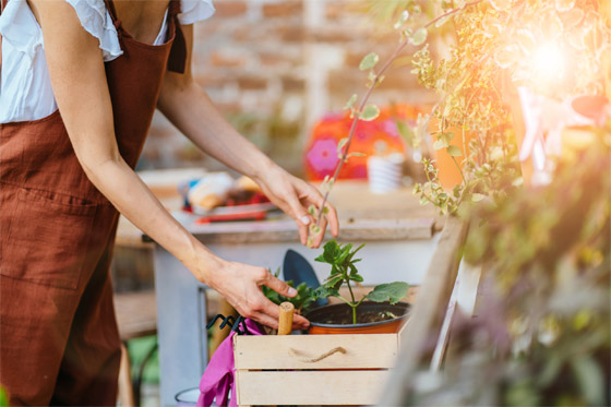 الوقوف على لوح مسامير لعلاج الألم! إليكم أغرب طرق العلاج النفسي الحديث صورة رقم 5