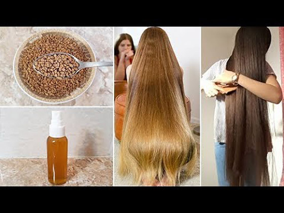 فوائد الحلبة علي الشعر وسر تطبيقها لضمان النتيجه صورة رقم 3