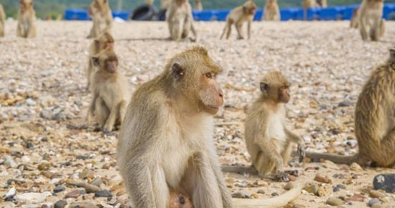 أخطر الأماكن على كوكب الأرض .. غرائب وعجائب المناطق حول العالم صورة رقم 9