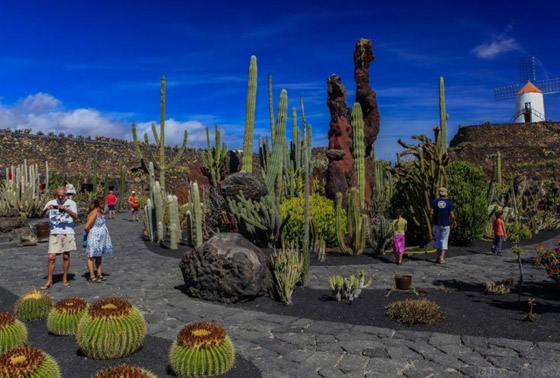 «لانزاروت».. غموض البراكين وسحر الشواطئ صورة رقم 4