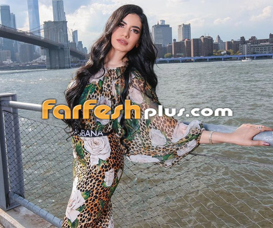 صور دينا حبيبة أبو هشيمة الرابعة.. مثقفة ومُثيرة.. هل هي أجمل من ياسمين صبري؟ صورة رقم 9 صور دينا حبيبة أبو هشيمة الرابعة.. مثقفة ومُثيرة.. هل هي أجمل من ياسمين صبري؟ صورة رقم 9